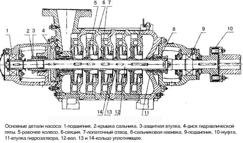 razrez cns-1.jpeg